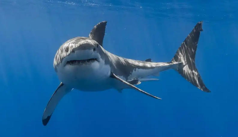 烟台合益利商贸有限公司轮播图1